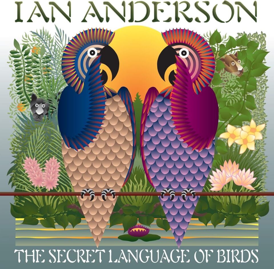IAN ANDERSON (JETHRO TULL) - THE SECRET LANGUAGE OF BIRDS (2000) - 2xLP (ETCHED / 3 SIDES)  2026 EDITION SIFIR PLAK