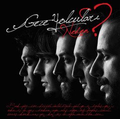 GECE YOLCULARI - NEDEN? (2013) - CD SIFIR