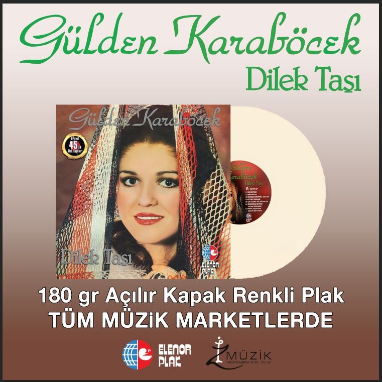GÜLDEN KARABÖCEK - DİLEK TAŞI - LP COMPILATION 2025 RENKLİ BASIM SIFIR PLAK