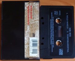 MR BIG - WILD WORLD - KASET SINGLE 2.EL