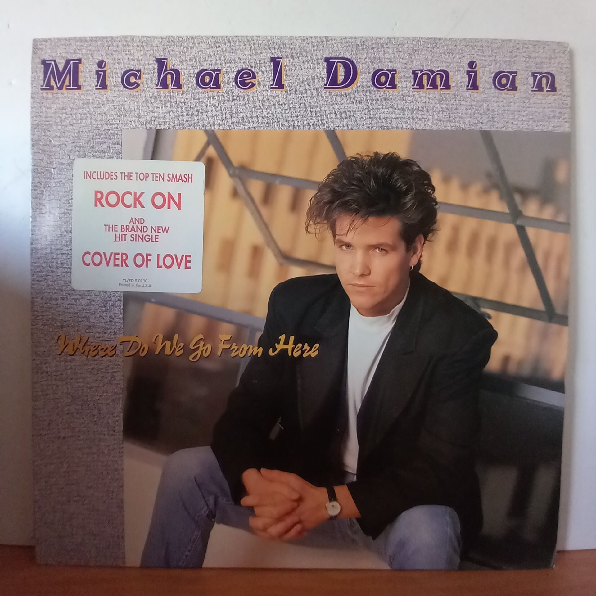 MICHAEL DAMIAN – WHERE DO WE GO FROM HERE (1989) - LP 2.EL PLAK