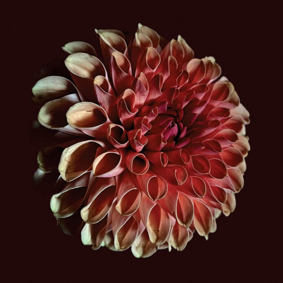 JESSICA MOSS (SILVER MT ZION) - UNFOLDING (2025) - LP 180GR AVANTGARDE , CONTEMPORARY CLASSICAL , AMBIENT SIFIR PLAK