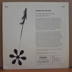 VOICES OF THE SKY - LP 2.EL PLAK