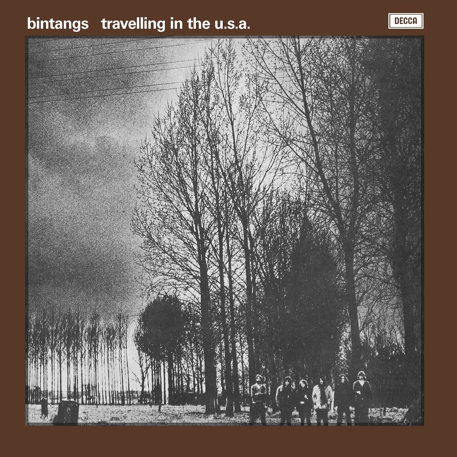 BINTANGS - TRAVELLING IN THE USA (1970) - LP 180GR 2022 EDITION BLUES ROCK SIFIR PLAK
