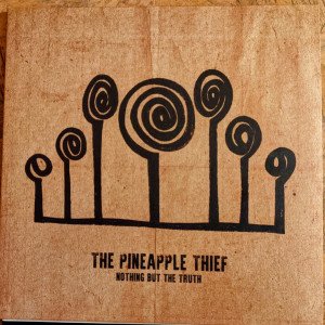 PINEAPPLE THIEF - NOTHING BUT THE TRUTH / LIVE (2021) - 2LP KSCOPE SIFIR PLAK