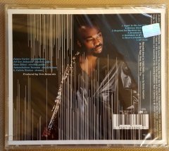 JAMES CARTER - LAYIN' IN THE CUT (2000) - CD SIFIR