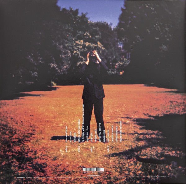 STEVEN WILSON - INSURGENTES (2008) - 2LP 2023 EDITION GATEFOLD SIFIR PLAK