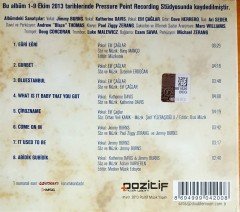 BLUES İLE BİRLİKTE HAYATA / JIMMY BURNS, KATHERINE DAVIS, ELİF ÇAĞLAR (2013) POZİTİF CD 2.EL