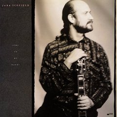 JOHN SCOFIELD - TIME ON MY HANDS (1990) - LP 2015 EDITION SIFIR