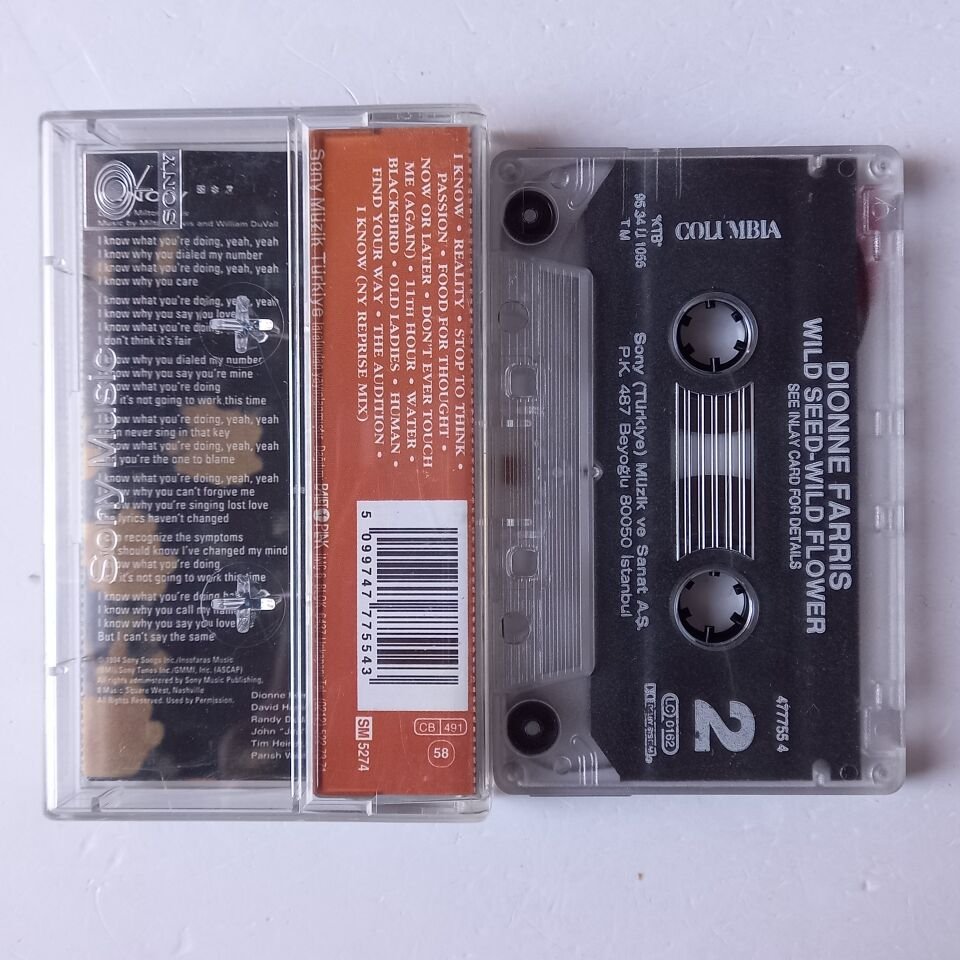 DIONNE FARRIS - WILD SEED WILD FLOWER (1995) - KASET 2.EL