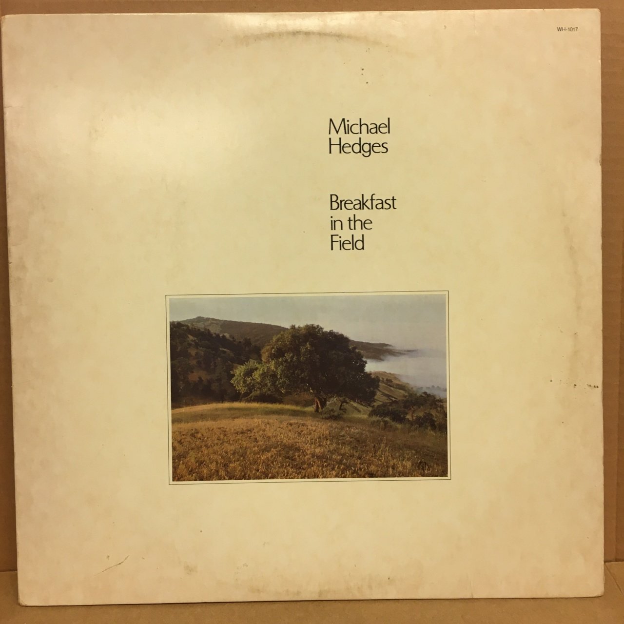 MICHAEL HEDGES - BREAKFAST IN THE FIELD 1981 2.EL PLAK GUITAR