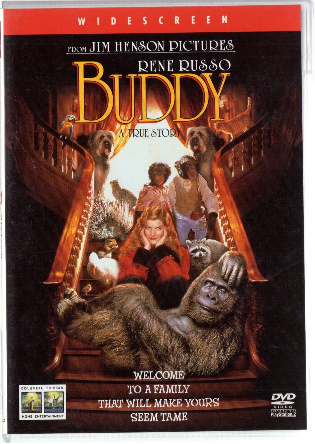 BUDDY - RENE RUSSO - CAROLINE THOMPSON - DVD 2.EL