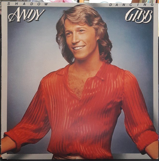 ANDY GIBB - SHADOW DANCING (1978) - PLAK 2.EL