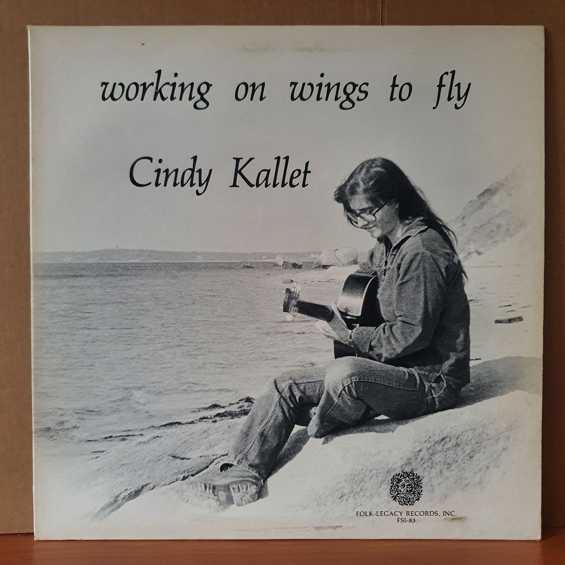 CINDY KALLET - WORKING ON WINGS TO FLY (1981) - LP 2.EL PLAK
