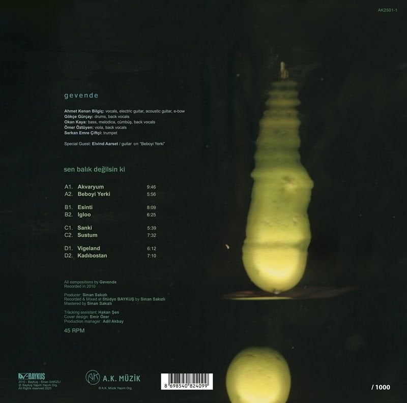 GEVENDE - SEN BALIK DEĞİLSİN Kİ (2011) - 2LP 180GR 45RPM / 45 DEVİR 2025 BASIM SIFIR PLAK