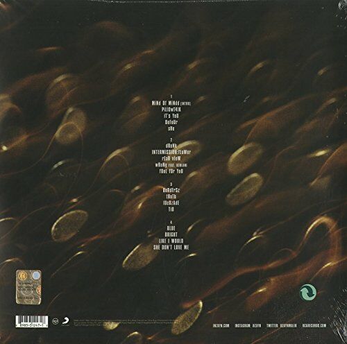 ZAYN - MIND OF MINE (2016) - 2LP REISSUE SIFIR PLAK