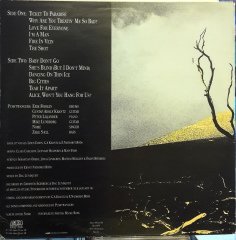 PUSHTWANGERS - HERE WE GO AGAIN... (1986) - PLAK 2.EL
