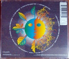 JETHRO TULL - ROOTS TO BRANCHES (1995) CHRYSALIS CD 2.EL