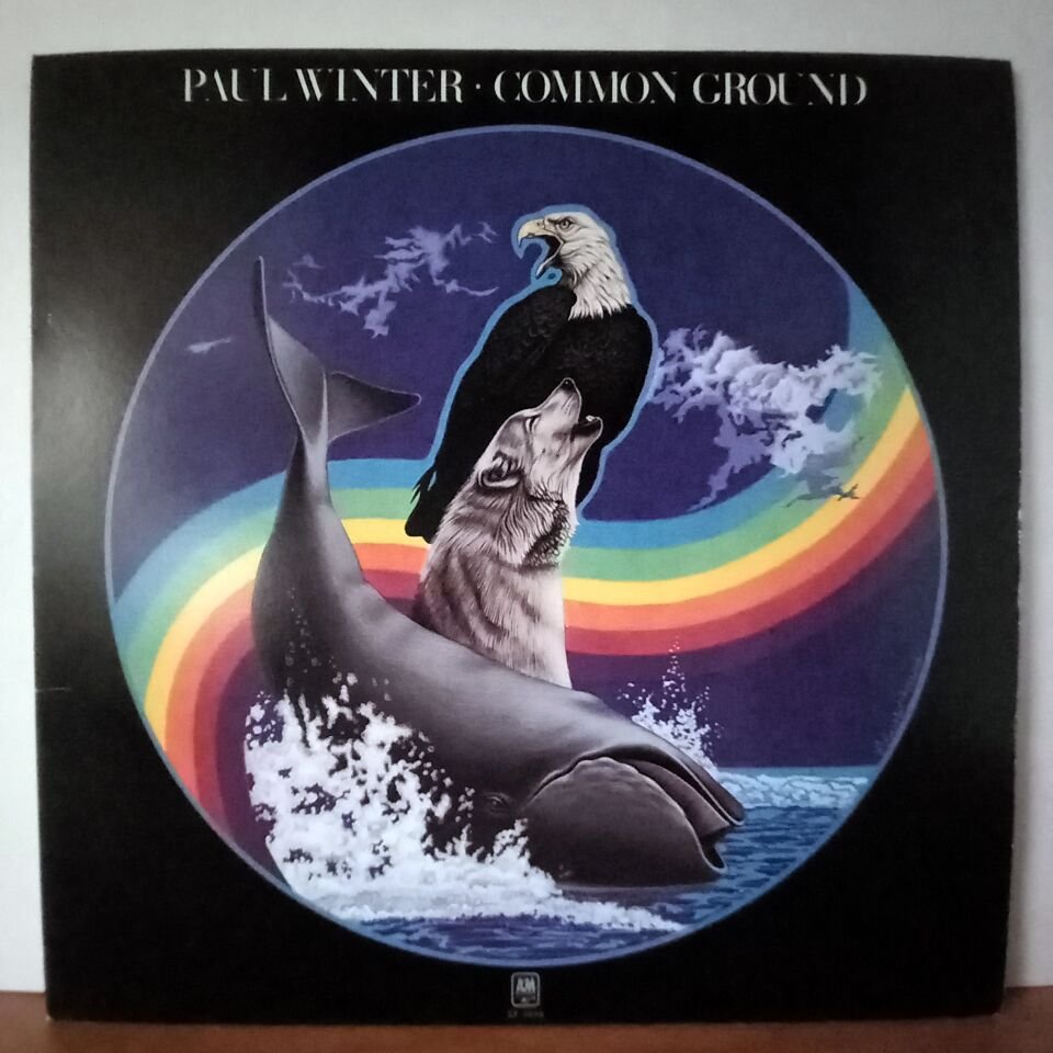 PAUL WINTER – COMMON GROUND (1978) - LP 2.EL PLAK