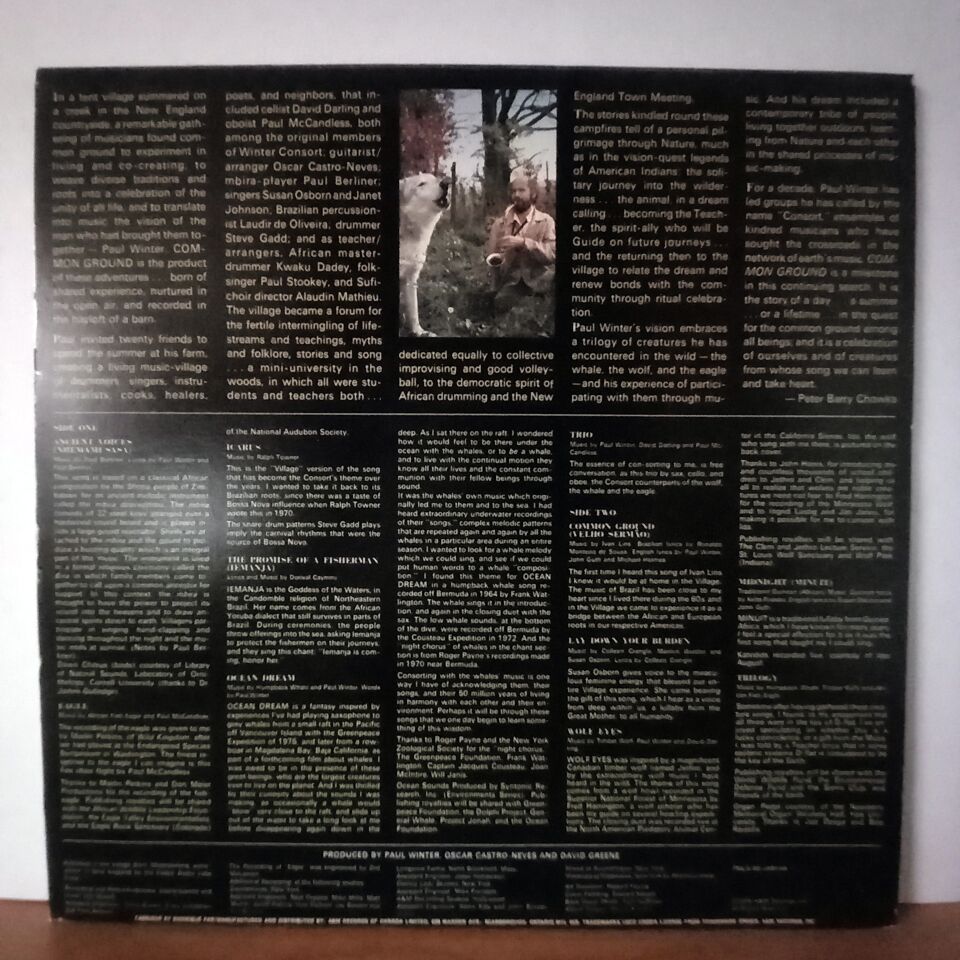 PAUL WINTER – COMMON GROUND (1978) - LP 2.EL PLAK