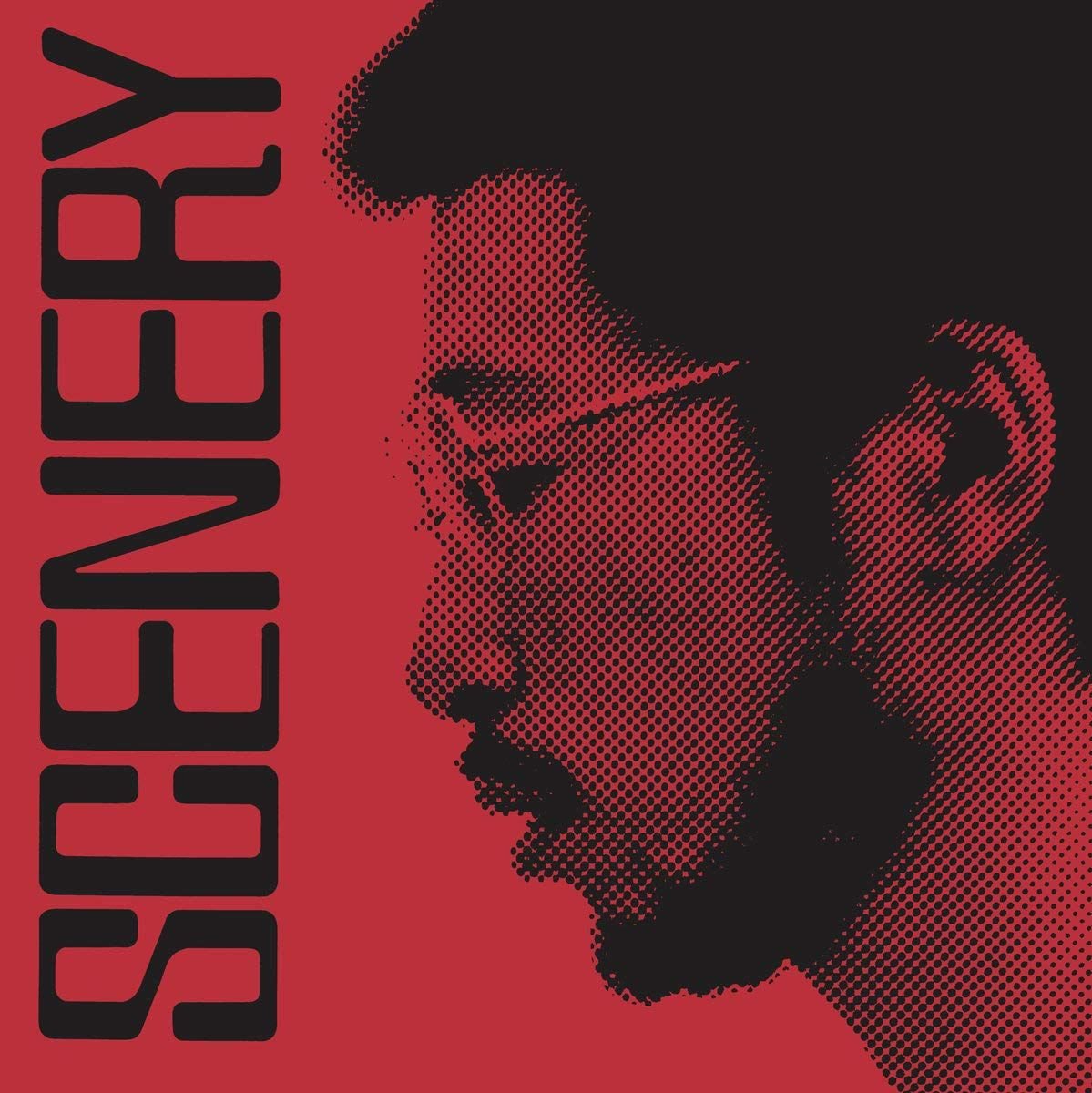 RYO FUKUI - SCENERY (1976) - LP 2018 HALF SPEED MASTERING EDITION SIFIR PLAK
