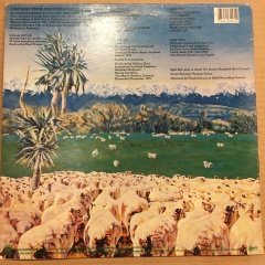 SPLIT ENZ - FRENZY (1979) 1981 2.EL PLAK