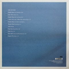 ROBERT WYATT - RUTH IS STRANGER THAN RICHARD (1975) - LP 180GR 2008 EDITION SIFIR PLAK