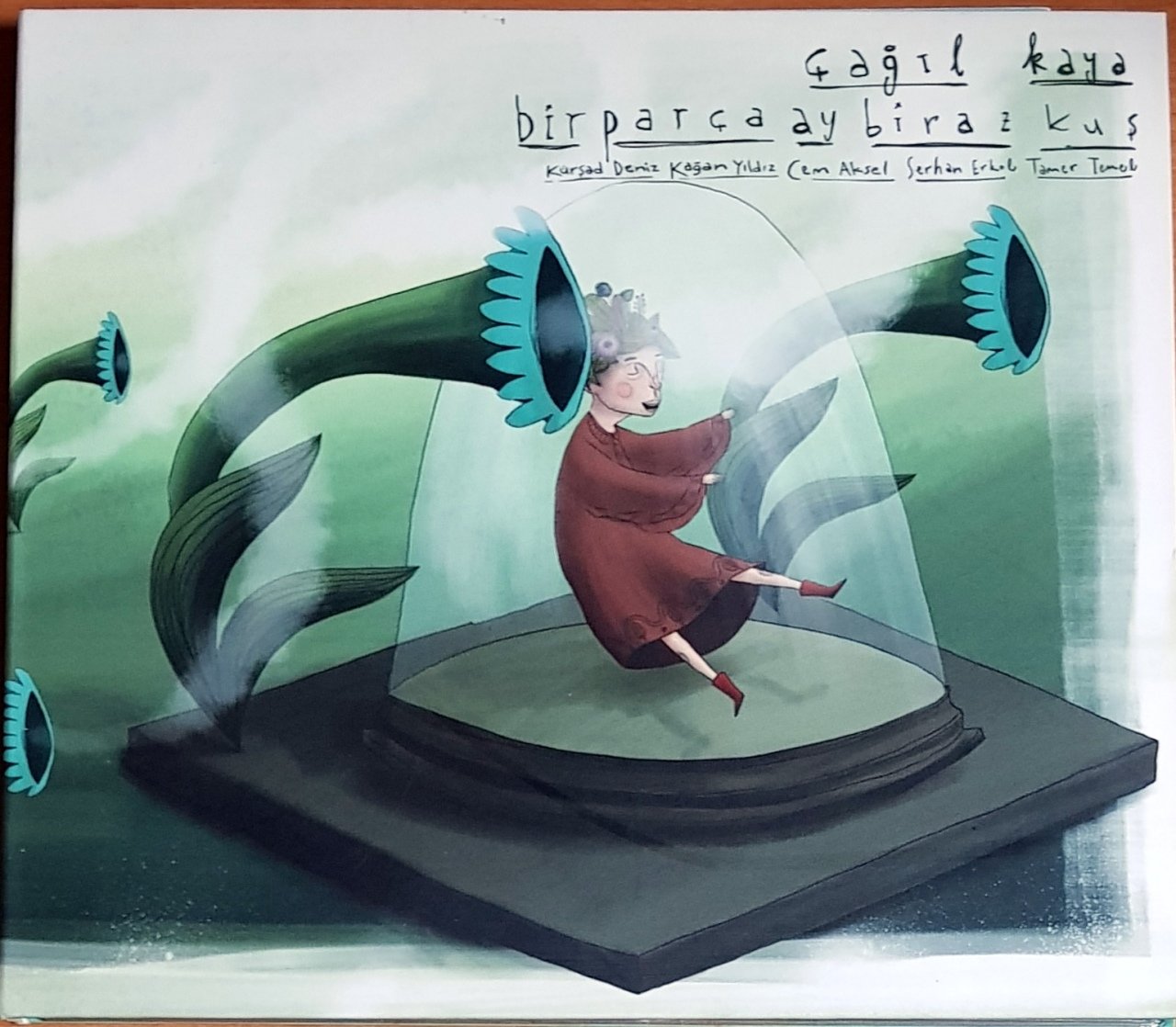 ÇAĞIL KAYA - BİR PARÇA AY BİRAZ KUŞ (2014) A.K. MÜZİK CD 2.EL