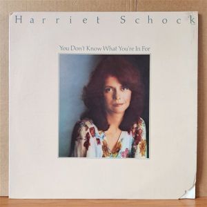HARRIET SCHOCK - YOU DON'T KNOW WHAT YOU'RE IN FOR (1976) - LP 2.EL PLAK