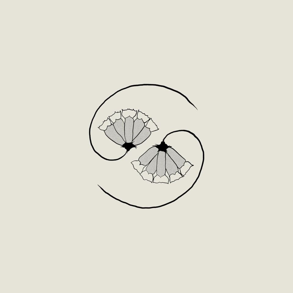 GODSPEED YOU BLACK EMPEROR - G_OD'S PEE ATSTATE'S END (2021) - LP 180GR + 10'' EP SIFIR PLAK