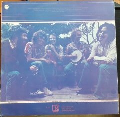 BERNI LEADON & MICHAEL GEORGIADES BAND - NATURAL PROGRESSIONS - 2.EL PLAK YERLİ BASKI