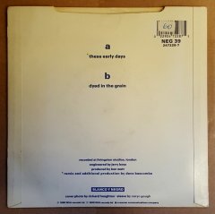 EVERTHING BUT THE GIRL - THESE EARLY DAYS / DYED IN THE GRAIN (1988) - 7'' 45 DEVİR SINGLE PLAK