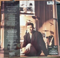 RICK ASTLEY - HOLD ME IN YOUR ARMS (1988) - 2.EL PLAK