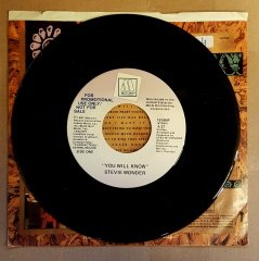 STEVIE WONDER - YOU WILL KNOW / Interview (1987) - 7'' 45 DEVİR PROMO SINGLE PLAK
