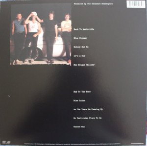 GEORGE THOROGOOD - BAD TO THE BONE (1982) - 2018 LP SIFIR PLAK