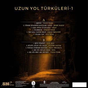 UZUN YOL TÜRKÜLERİ (YILDIZ TİLBE, HÜSEY,N TURAN, ONUR AKIN, GÜLAY,..) 2022 LP SIFIR PLAK