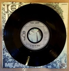 TERRY JACKS - IF YOU GO AWAY / ME AND YOU (1974) - 7'' 45 DEVİR SINGLE PLAK