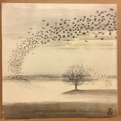 GENESIS - WIND & WUTHERING (1976) - 2.EL PLAK