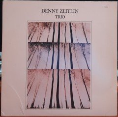DENNY ZEITLIN TRIO (1988) - PLAK 2.EL