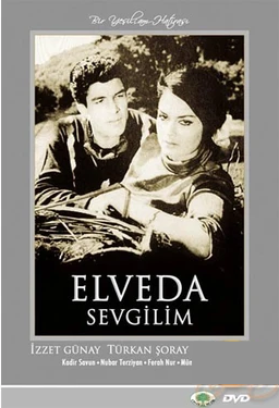 ELVEDA SEVGİLİM - TÜRKAN ŞORAY - İZZET GÜNAY - DVD 2.EL