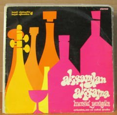 HURŞİD YENİGÜN - AKŞAMDAN AKŞAMA - LP 2.EL