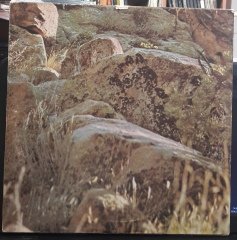 DAVE MASON - ALONE TOGETHER (1970) - RENKLİ PLAK 2.EL