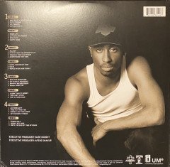 2PAC (TUPAC) - UNTIL THE END OF TIME (2001) - 4LP SIFIR PLAK