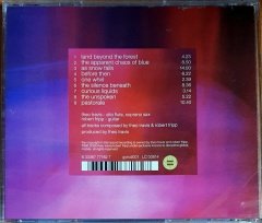 THEO TRAVIS & ROBERT FRIPP - THREAD (2008) - CD DISCIPLINE GLOBAL MOBILE 2.EL