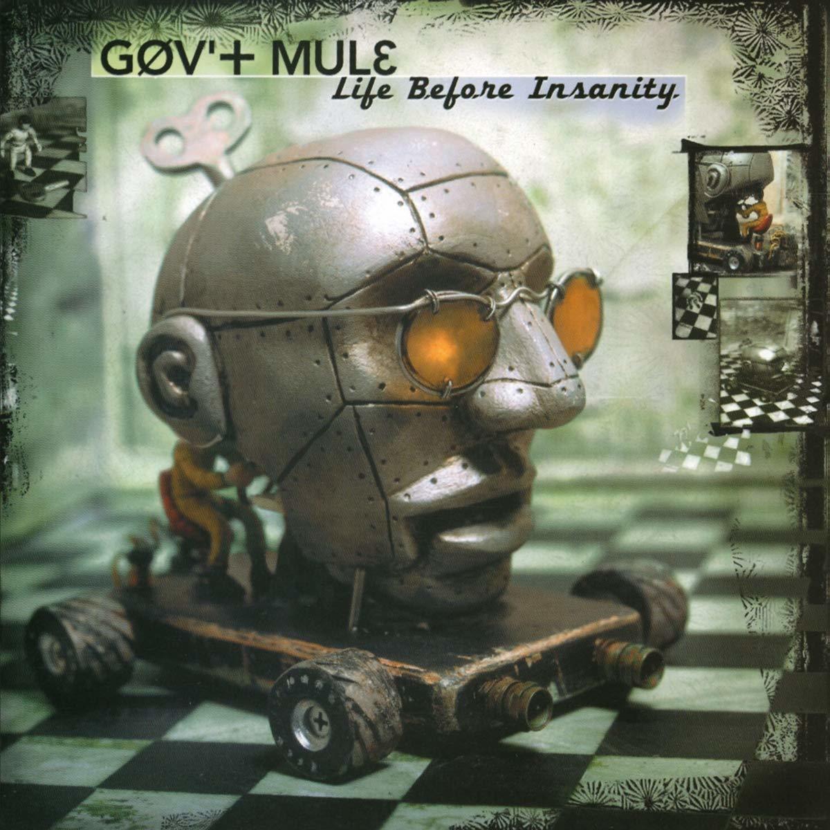 GOV'T MULE - LIFE BEFORE INSANITY (2000) - 2LP 180GR 2020 EDITION SIFIR PLAK