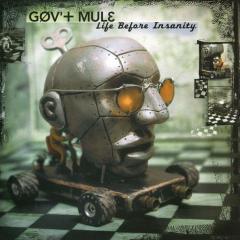 GOV'T MULE - LIFE BEFORE INSANITY (2000) - 2LP 180GR 2020 EDITION SIFIR PLAK