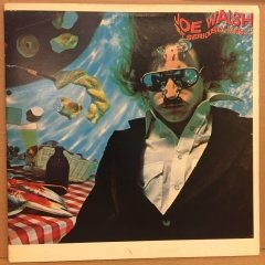 JOE WALSH - BUT SERIOUSLY, FOLKS (1978) - 2.EL PLAK