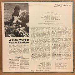 DUANE EDDY - WATER SKIING 2.EL PLAK