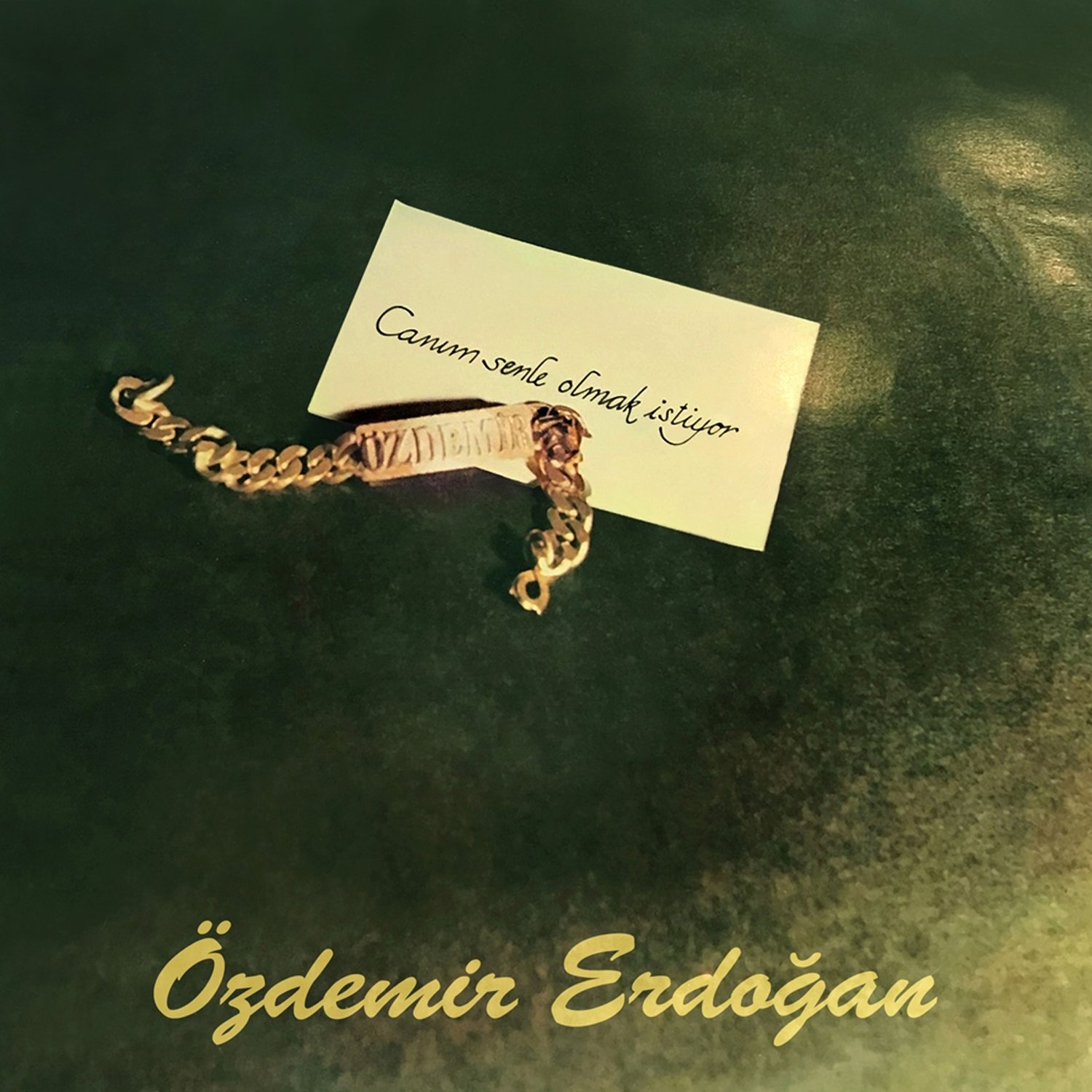 ÖZDEMİR ERDOĞAN - CANIM SENLE OLMAK İSTİYOR (1977) - LP 2022 BASIM SIFIR PLAK