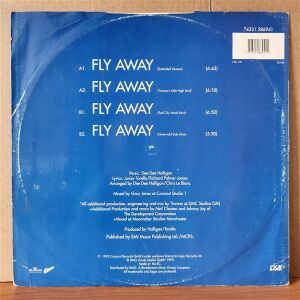 HADDAWAY – FLY AWAY (1995) - 12'' 45RPM MAXI SINGLE 2.EL PLAK